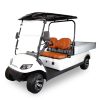 Icon C20U Utility Golf Cart for Sale