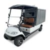 Icon C20V Utility Golf Cart for Sale