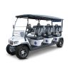 Evolution D5 Ranger 6 Plus golf cart for sale