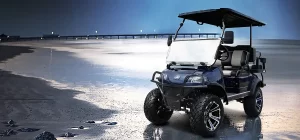 Read more about the article Best Electric Golf Carts of 2025 – Top Picks from Evolution