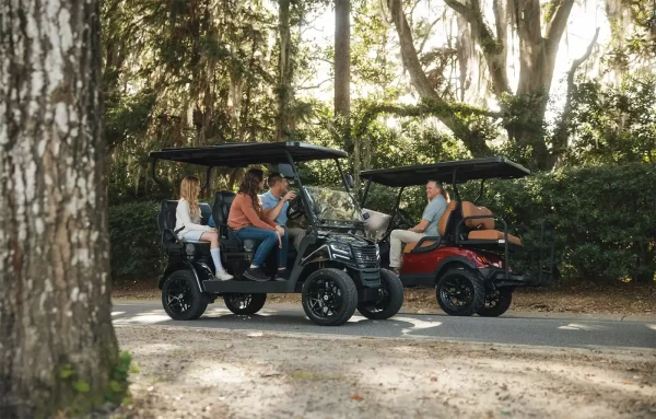 ax4 golf cart for sale