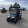 2014 EZGO RXV golf cart - Littleton, Colorado