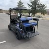2014 EZGO RXV rear seating used golf cart for sale in denver colorado