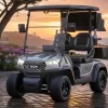 ICON i20X Golf Cart Silver for sale in colorado